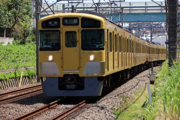 鉄道フォト・写真：西武鉄道 西武2000系電車 東伏見駅 鉄道フォト・写真 by レフカーボさん - 撮影日 2024/08/11 11:00