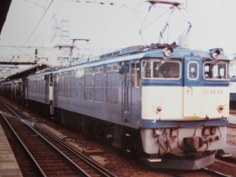 国鉄EF64形電気機関車 EF6444+EF6411 鉄道フォト・写真 by レフカーボさん 松本駅 (JR)：1980年03月19日00時ごろ