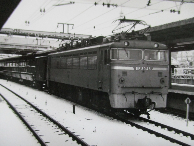 国鉄EF80形電気機関車 EF8048 鉄道フォト・写真 by レフカーボさん 我孫子駅：1977年01月15日00時ごろ