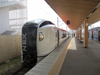 JR東日本E259系電車 成田エクスプレス 鉄道フォト・写真 by レフカーボさん 富士山駅：2016年04月09日12時ごろ