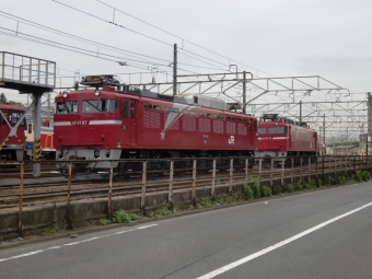 JR東日本 EF81 EF8197 鉄道フォト・写真 by レフカーボさん 尾久駅：2010年05月29日09時ごろ