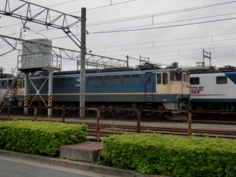 JR東日本 国鉄EF65形電気機関車 EF651000番台 鉄道フォト・写真 by レフカーボさん 尾久駅：2010年05月29日09時ごろ