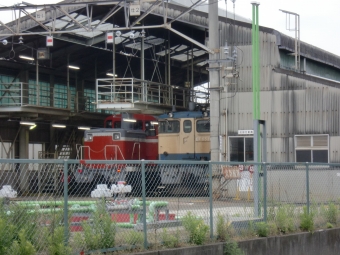 JR東日本 ー ー 鉄道フォト・写真 by レフカーボさん 尾久駅：2010年05月29日09時ごろ