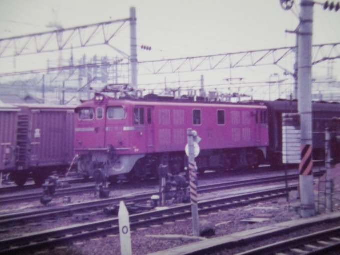 国鉄ED71形電気機関車 鉄道フォト・写真 by レフカーボさん 仙台駅 (JR)：1978年04月29日00時ごろ