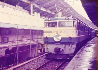 国鉄EF65形電気機関車 はやぶさ(特急) EF65　537 鉄道フォト・写真 by レフカーボさん 東京駅 (JR)：1976年10月24日00時ごろ
