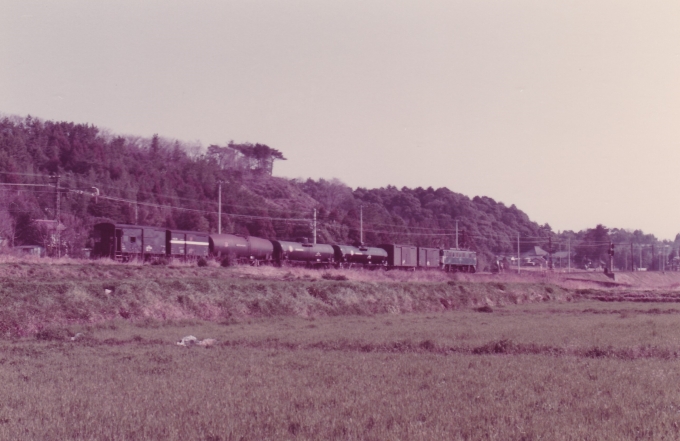 国鉄ED62形電気機関車 鉄道フォト・写真 by レフカーボさん 東上駅：1979年03月28日00時ごろ