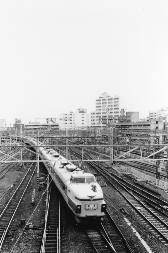 国鉄181系電車 とき 鉄道フォト・写真 by レフカーボさん 上野駅 (JR)：1978年06月11日00時ごろ