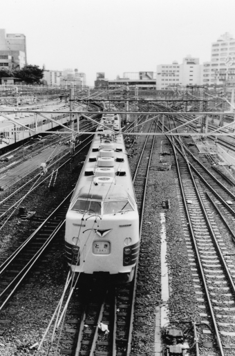 国鉄183系電車 とき(特急) 鉄道フォト・写真 by レフカーボさん 上野駅 (JR)：1978年06月11日00時ごろ