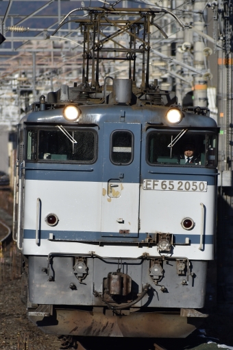 JR貨物 国鉄EF65形電気機関車 EF65-2050 鉄道フォト・写真 by ゆづるさん ：2020年12月19日15時ごろ