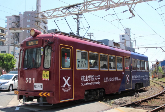 阪堺電気軌道モ501形電車 501 松虫停留場 鉄道フォト・写真 by Yoshi