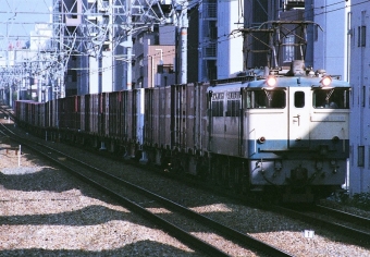 JR貨物 国鉄EF65形電気機関車 EF65 1136 鉄道フォト・写真 by Yoshi＠LC5820さん さくら夙川駅：2008年12月23日11時ごろ