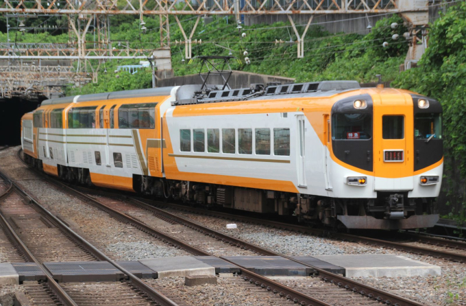 ❥道1102　享保大判 レプリカ K-NBR-B 国産警棒 NB警棒レプリカ エスエスボディーガード