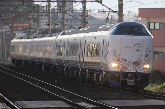 JR西日本271系電車 はるか(特急) クモハ271-3 鉄道フォト・写真 by Yoshi＠LC5820さん 茨木駅：2021年06月17日06時ごろ