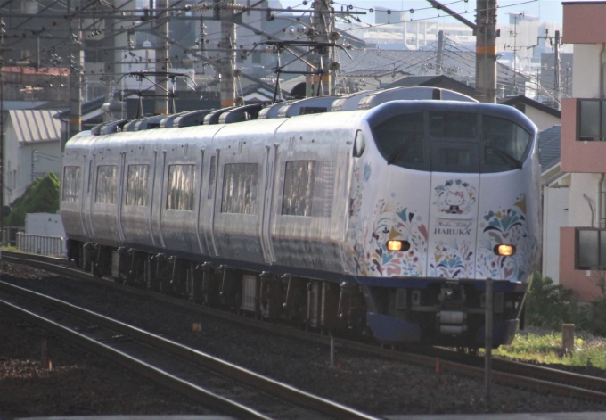 JR西日本281系電車 はるか(特急) 鉄道フォト・写真 by Yoshi＠LC5820さん 茨木駅：2021年06月17日06時ごろ