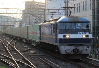 JR貨物EF210形電気機関車 EF210-310 鉄道フォト・写真 by Yoshi＠LC5820さん 高槻駅：2021年06月17日05時ごろ