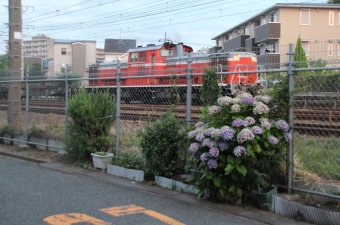 JR西日本 国鉄DD51形ディーゼル機関車 DD51 1191 鉄道フォト・写真 by Yoshi＠LC5820さん ＪＲ総持寺駅：2021年06月24日05時ごろ