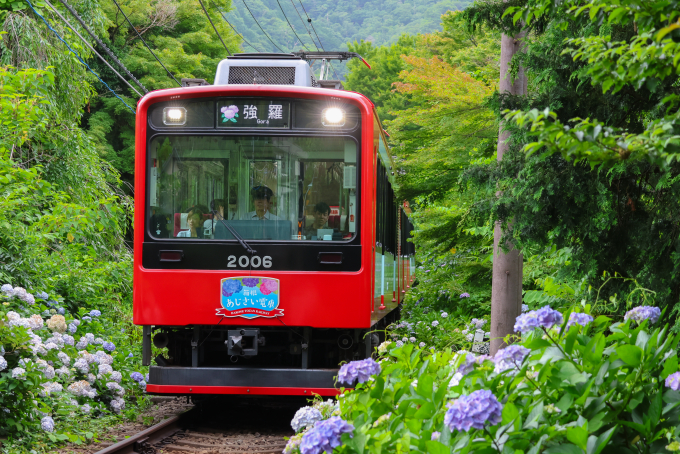 鉄道部品 箱根登山鉄道 貸切 方向板 ヘッドマーク 小田急 箱根登山電車