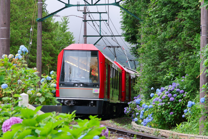 箱根登山鉄道　とことこっとトレイン Amazon | Nゲージ NT73 箱根登山鉄道 モハ1形 とことこっと