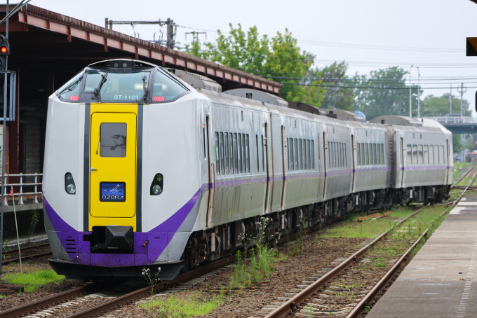 【送料無料】北海道観光号★国鉄★鉄道サボ★即購入OK！★匿名配送 送料無料】北海道観光号☆国鉄☆鉄道サボ☆即購入OK！☆匿名配送