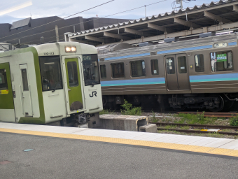 JR東日本 キハ110-113 (キハ100・110系) 車両ガイド | レイルラボ(RailLab)