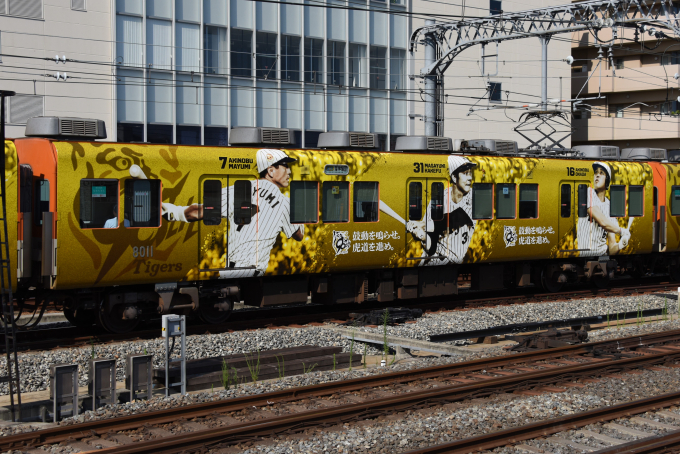 阪井 阪神8000系「阪神タイガース日本一記念ラッピングトレイン」8011の側面
