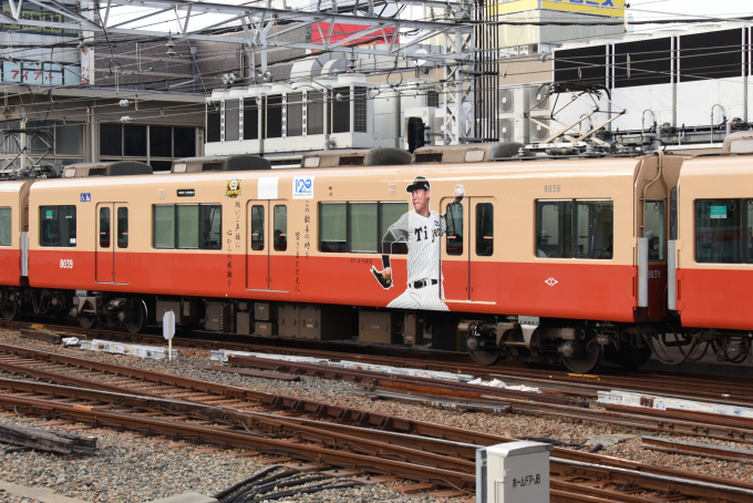 阪神電鉄 阪神8000系電車 8039 尼崎駅 (阪神) 鉄道フォト・写真 by