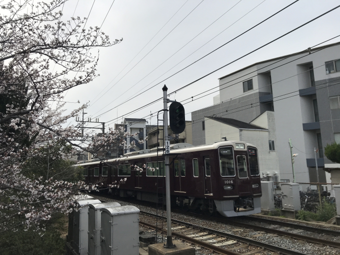 阪急電鉄 1016 (阪急1000系(2代)) 車両ガイド | レイルラボ(RailLab)