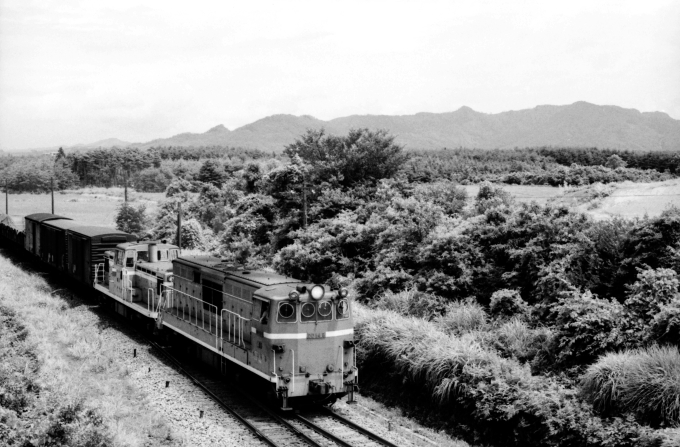 国鉄DD14形ディーゼル機関車 鉄道フォト | レイルラボ(RailLab)