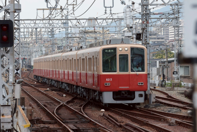 阪神電鉄 8213 (阪神8000系) 車両ガイド | レイルラボ(RailLab)