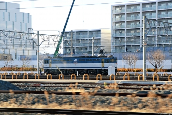 JR貨物 国鉄EF65形電気機関車 2060 鉄道フォト・写真 by Jin Bergqiさん 岸辺駅：2018年12月28日15時ごろ