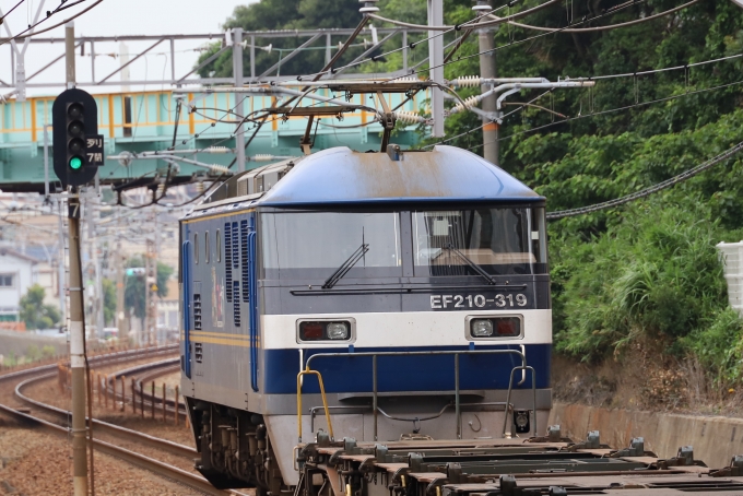 JR貨物EF210形電気機関車 EF210-319 鉄道フォト・写真 by norikadさん 舞子駅：2021年06月28日11時ごろ