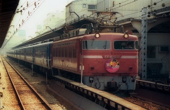 JR西日本 国鉄EF81形電気機関車 EF81-123 鉄道フォト・写真 by norikadさん 大阪駅：1989年08月12日00時ごろ
