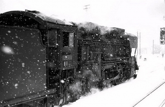 国鉄D51形蒸気機関車 D51-499 鉄道フォト・写真 by norikadさん 和田山駅：1970年03月07日00時ごろ