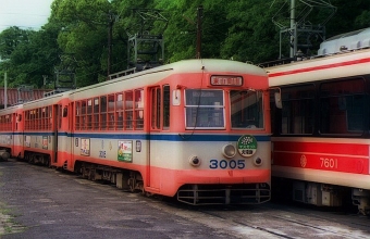 岡山電気軌道3000形電車 3005 鉄道フォト・写真 by norikadさん ：1990年09月11日00時ごろ