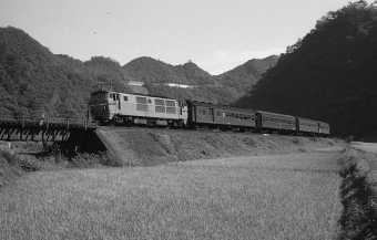 国鉄 DD54 鉄道フォト・写真 by norikadさん 布原駅：1971年10月03日00時ごろ