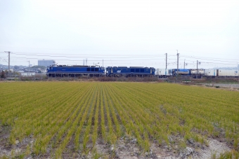 JR貨物 EF510形 EF510-501 鉄道フォト・写真 by norikadさん 魚住駅：2018年11月28日12時ごろ