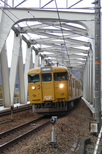 JR西日本 国鉄115系電車 鉄道フォト・写真 by norikadさん 有年駅：2018年12月08日14時ごろ