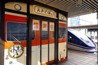 智頭急行HOT7000形気動車 鉄道フォト・写真 by norikadさん 姫路駅：2021年11月14日10時ごろ