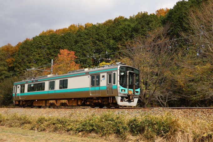JR西日本 クモハ125形 クモハ125-12 鉄道フォト・写真 by norikadさん 日本へそ公園駅：2021年11月20日12時ごろ