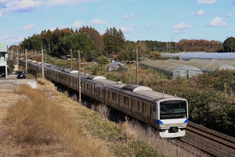 JR東日本E531系電車 鉄道フォト・写真 by norikadさん 羽鳥駅：2021年11月27日11時ごろ
