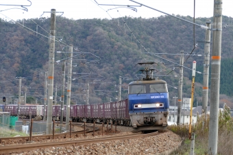 JR貨物 EF200形 EF200-18 鉄道フォト・写真 by norikadさん 上郡駅 (JR)：2018年12月08日13時ごろ