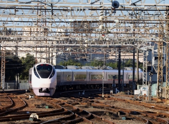 JR東日本E657系電車 鉄道フォト・写真 by norikadさん 水戸駅 (JR)：2021年11月28日09時ごろ