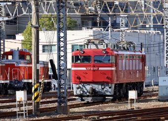 JR貨物 国鉄EF81形電気機関車 EF81-80 鉄道フォト・写真 by norikadさん 水戸駅 (JR)：2021年11月28日09時ごろ