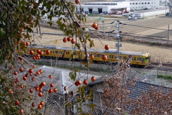 JR西日本 国鉄115系電車 鉄道フォト・写真 by norikadさん 東岡山駅：2018年12月15日13時ごろ