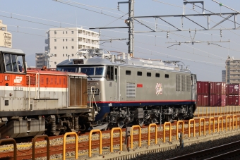 JR貨物 EF510形電気機関車 EF510-301 鉄道フォト・写真 by norikadさん 鷹取駅：2021年12月16日10時ごろ