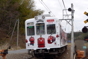 和歌山電鐵 2270系 ウィルソン 2272 鉄道フォト・写真 by norikadさん 大池遊園駅：2019年01月06日10時ごろ