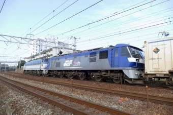 JR貨物 EF66,EF210 EF66-129、EF210-104 鉄道フォト・写真 by norikadさん 舞子駅：2019年01月08日11時ごろ