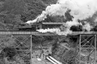 国鉄C12形蒸気機関車 C12-208 鉄道フォト・写真 by norikadさん 立野駅 (熊本県|南阿蘇鉄道)：1972年12月29日00時ごろ