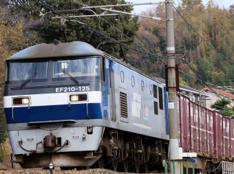 JR貨物 EF210形 EF210-125 鉄道フォト・写真 by norikadさん 新井口駅：2021年12月21日13時ごろ
