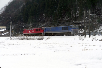 JR貨物 EF510形電気機関車 EF510-9,513 鉄道フォト・写真 by norikadさん 南条駅：2019年01月28日12時ごろ